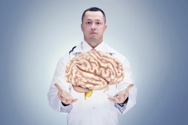 Doutor com estetoscópio e cérebros nas mãos. fundo cinzento. Alta resolução . — Fotografia de Stock