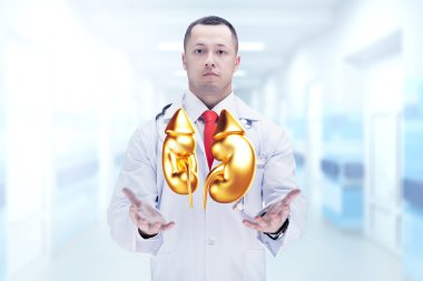 Stetoskoplu ve altın böbrekli doktor hastanede. Yüksek çözünürlük.