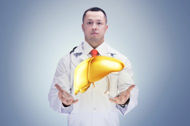 Doktor stetoskop ve bir hastanede ellerinde altın karaciğer ile. Yüksek çözünürlük.