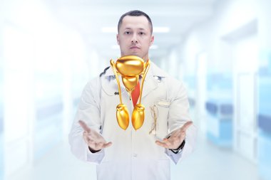 Elinde stetoskop ve altın erkek üreme sistemi olan doktor. Yüksek çözünürlük.