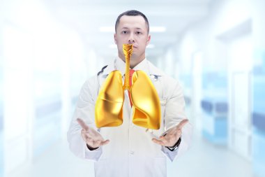 Doktor stetoskop ve bir hastanede ellerinde altın akciğerler. Yüksek çözünürlük.