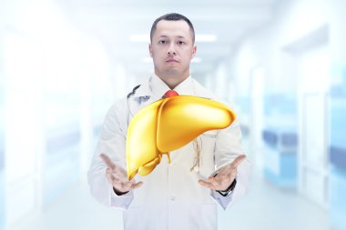 Doktor stetoskop ve bir hastanede ellerinde altın karaciğer ile. Yüksek çözünürlük.