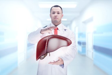 Doktor stetoskop ve karaciğer bir hastanede ellerinde. Yüksek çözünürlük.