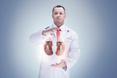 Elinde stetoskop ve böbrekler olan doktor. Yüksek çözünürlük.