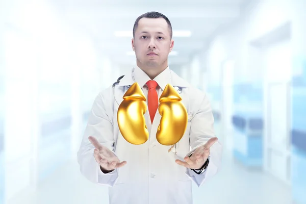 Arzt mit Stethoskop und goldenen Nieren an den Händen in einem Krankenhaus. hohe Auflösung. — Stockfoto