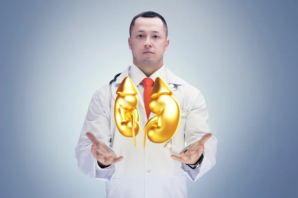 Médico con estetoscopio y pulmones dorados en las manos en un hospital. Alta resolución . — Foto de Stock