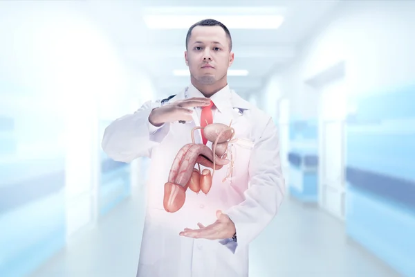Arts met een stethoscoop en penis op de handen in een ziekenhuis. Hoge resolutie. — Stockfoto