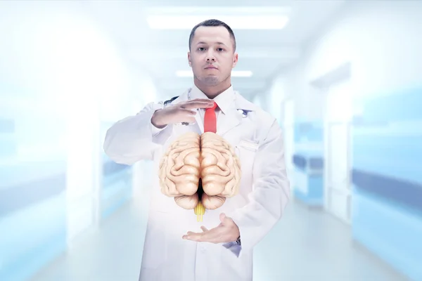 Doctor con estetoscopio y cerebro en las manos en un hospital. Alta resolución . — Foto de Stock