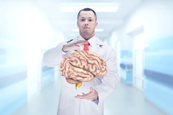 Docteur avec stéthoscope et cervelle sur les mains dans un hôpital. Haute résolution . — Photo