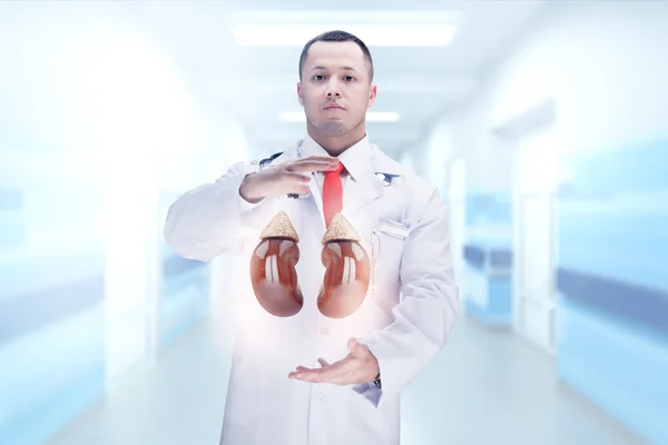 Orvos sztetoszkóppal és vesével a kezében. Felsőbb. — Stock Fotó