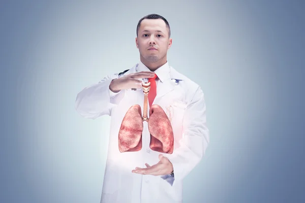 Doctor con estetoscopio y pulmones en las manos. Alta resolución . — Foto de Stock