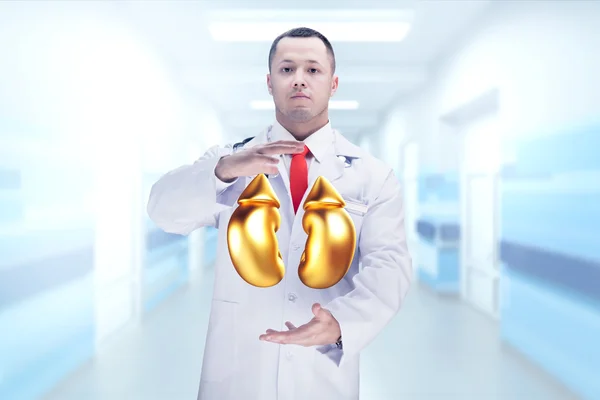 Doutor com estetoscópio e rins dourados nas mãos em um hospital. Alta resolução . — Fotografia de Stock