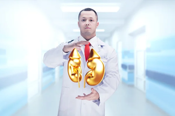 Doktor se stetoskem a zlatými ledvinami na rukou v nemocnici. Vysoké rozlišení. — Stock fotografie
