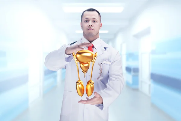 Doctor con estetoscopio y pulmones dorados en las manos. Alta resolución . — Foto de Stock