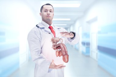 Doktor stetoskop ve penis bir hastanede ellerinde. Yüksek çözünürlük.