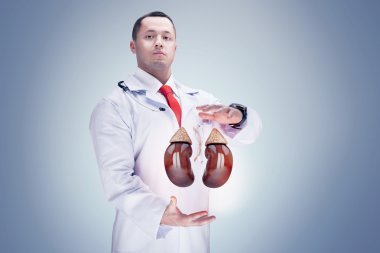 Elinde stetoskop ve böbrekler olan doktor. Yüksek çözünürlük.