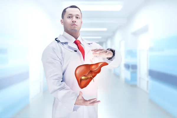 Elinde karaciğer olan doktor. Yüksek çözünürlük.