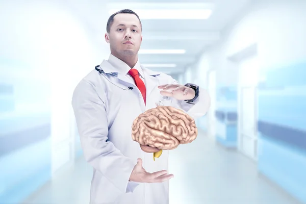 Doctor con estetoscopio y cerebro en las manos en un hospital. Alta resolución . — Foto de Stock