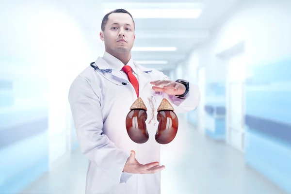 Läkare med stetoskop och njurar på händerna. Högupplöst. — Stockfoto