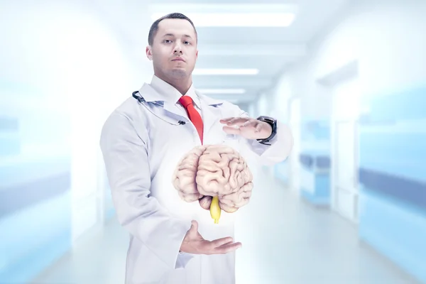 Lekarz z stetoskop i mózgi na rękach w szpitalu. Wysokiej rozdzielczości. — Zdjęcie stockowe
