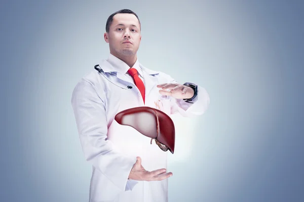Arts met een stethoscoop en lever op de handen in een ziekenhuis. Hoge resolutie. — Stockfoto