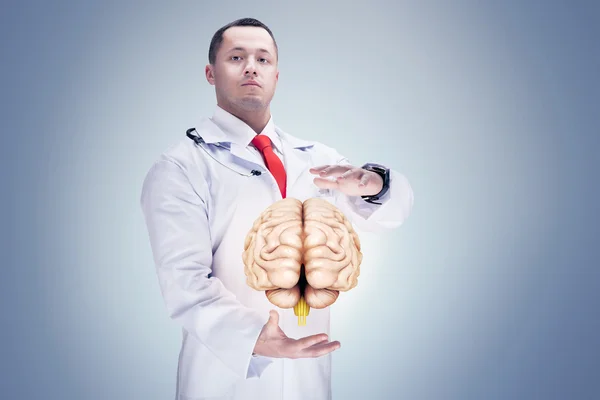 Doctor con estetoscopio y cerebro en las manos. fondo gris. Alta resolución . — Foto de Stock