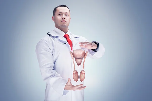 Doctor con estetoscopio y sistema reproductor masculino en las manos. Alta resolución . — Foto de Stock