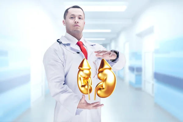 Docteur avec stéthoscope et reins dorés sur les mains dans un hôpital. Haute résolution . — Photo