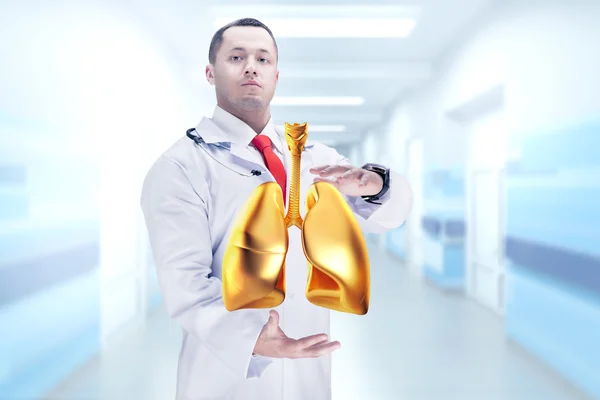 Doutor com estetoscópio e pulmões dourados nas mãos. Alta resolução . — Fotografia de Stock