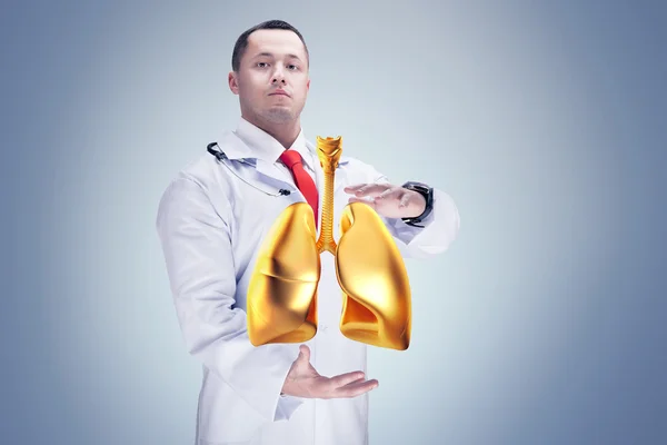 Arzt mit Stethoskop und Lungen an den Händen in einem Krankenhaus. hohe Auflösung. — Stockfoto