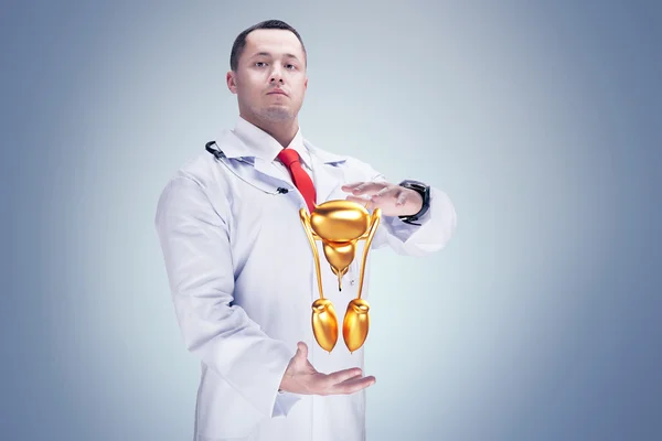 Doutor com estetoscópio e sistema reprodutivo masculino dourado nas mãos. fundo cinzento. Alta resolução . — Fotografia de Stock