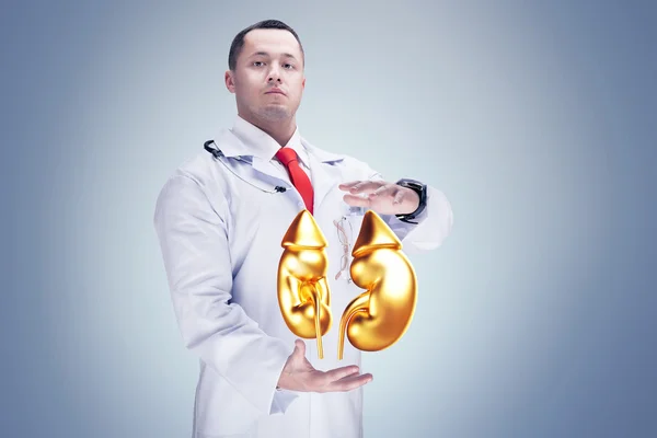 Médico con estetoscopio y riñones dorados en las manos en un hospital. Alta resolución . — Foto de Stock
