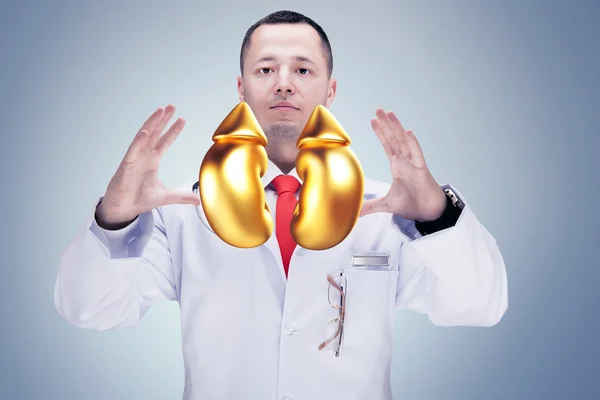 Doutor com estetoscópio e rins dourados nas mãos em um hospital. Alta resolução . — Fotografia de Stock