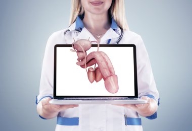 Doktor tutan insan organı (penis) ve tablet, gri arka plan.