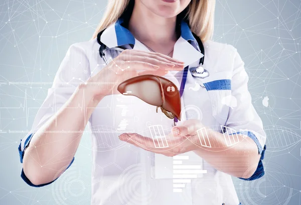 Dubbel exponering. Läkare med stetoskop och lever på händerna på ett sjukhus. — Stockfoto