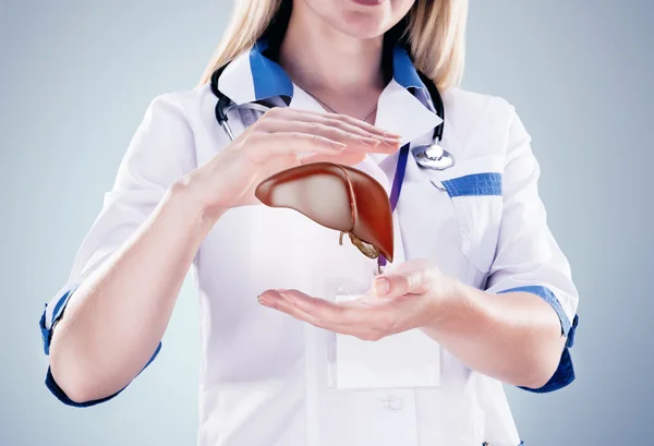 Médico con estetoscopio e hígado en las manos en un hospital . — Foto de Stock