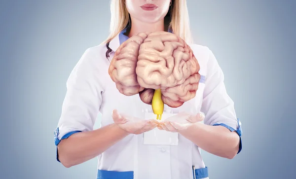 Doctor con estetoscopio y cerebro en las manos. fondo gris . —  Fotos de Stock