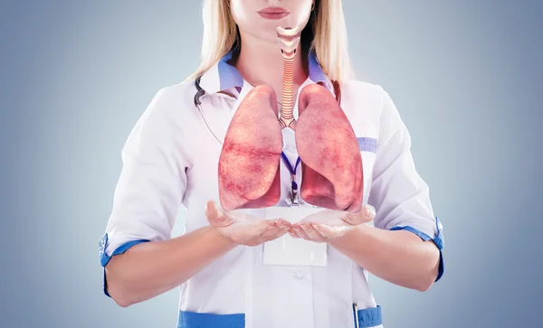 Doctor con estetoscopio y pulmones en las manos. fondo gris . — Foto de Stock