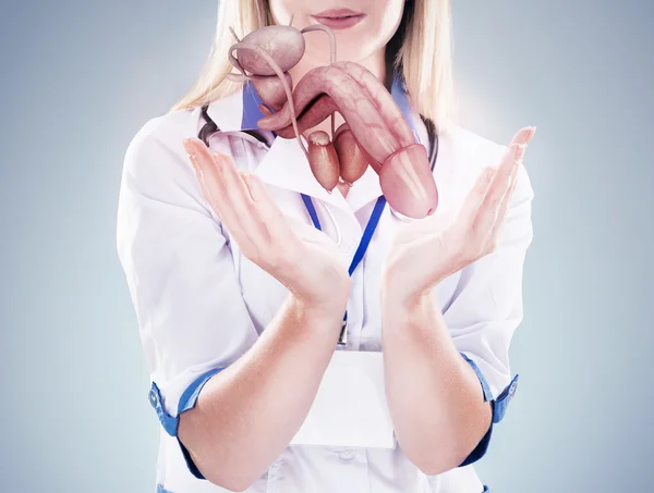 Médico con estetoscopio y pene en las manos en un hospital . — Foto de Stock