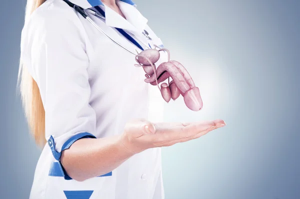 Lekarz z stetoskop i penisa na rękach w szpitalu. — Zdjęcie stockowe