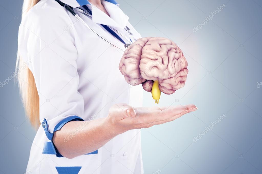 Doctor with stethoscope and brains on the hands . gray background.