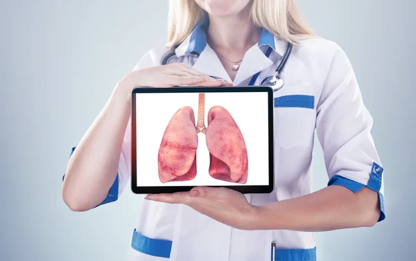 Lekarz posiadający ludzkich narządów (płuca) i tablet, szare tło. — Zdjęcie stockowe