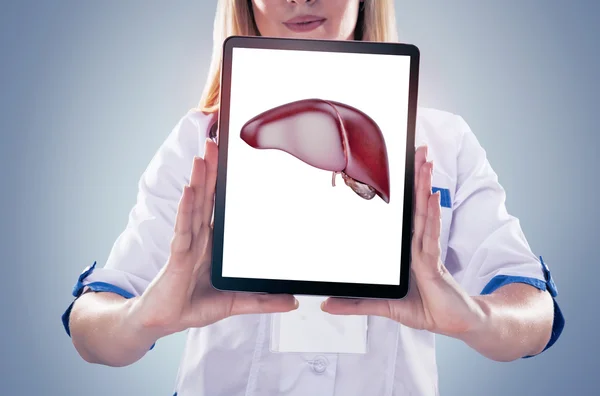 Lekarz trzymając narządów ludzkich (wątroby) i tablet, szare tło. — Zdjęcie stockowe