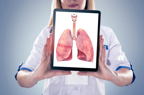 Arzt mit menschlichen Organen (Lungen) und Tablette, grauer Hintergrund. — Stockfoto