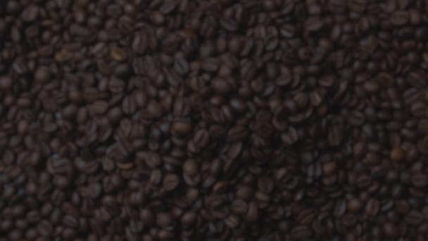 コーヒー豆の爆発と落下。高画質映像 — ストック動画