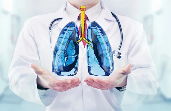 Doctor Vith Pulmones en las manos en un hospital — Foto de Stock