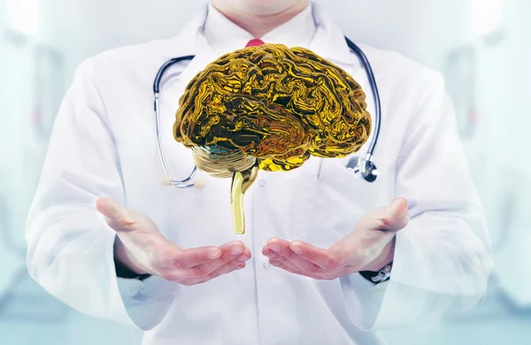 Médico con cerebro en las manos en un hospital — Foto de Stock