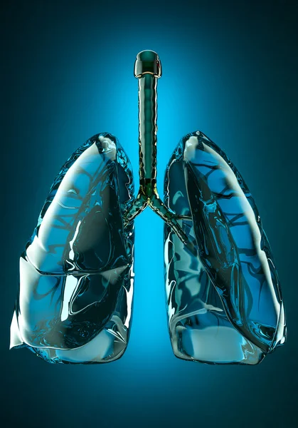 Pulmones humanos aislados . — Foto de Stock