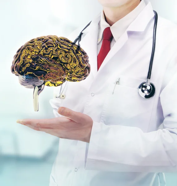 Médico con cerebro en las manos en un hospital — Foto de Stock