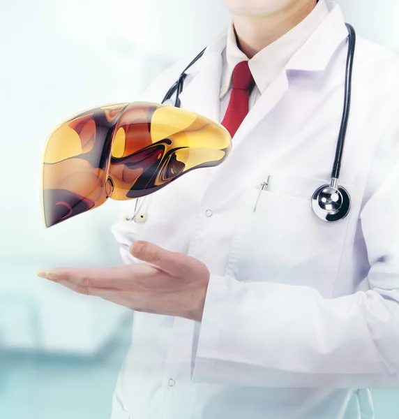 Läkare med levern i händerna på ett sjukhus — Stockfoto